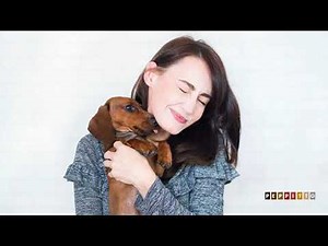 5 Dog Breeds for Single Woman Living Alone