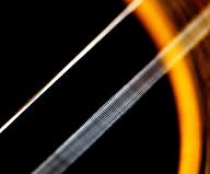 Transverse Wave ( Read ) | Physics