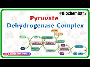 Pyruvate dehydrogenase complex ( Animation ) - Mechanism , Regulation and inhibitors : USMLE Step 1