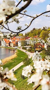 53K views · 221 reactions | Hidden gems of Latvia: Cities you should visit this summer!  Tired of the usual tourist spots and craving cool breezes, lush greenery, and peaceful charm? Latvia is your perfect summer escape!  Dive into Latvia’s soul with these lesser-known cities that deserve a spot on your travel map. https://www.latvia.travel/en | LatviaTravel | Facebook