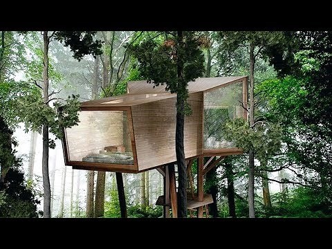 Cool & Modern Tree House Design and Ideas - Best TreeHouse