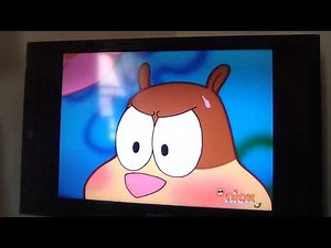 Angry Sandy Chases SpongeBob and Patrick in The Wild Chase