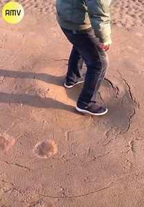 222K views | Wow It's Amazing.!!! | Simple Tax India | Facebook