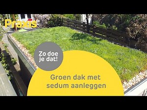 Zelf een sedumdak aanleggen | Groen dak stappenplan Praxis