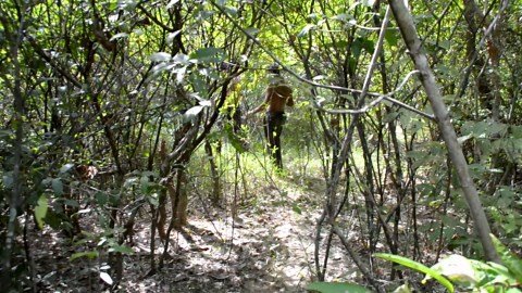 Grilled Insect Feast! Catching Dung Beetles & Crabs for Dinner