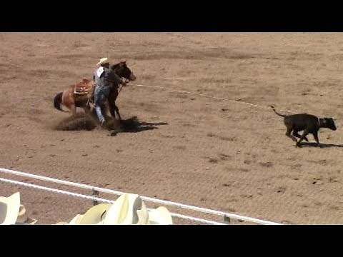 Cheyenne Rodeo Calf Roping Slack July 18, 2018 - Top 6 runs