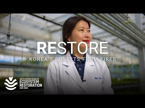 Wildfires, scientists and a doomsday seed vault – inside a country’s restoration journey