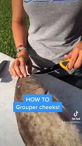 How to GROUPER CHEEKS! ❤️ Its grouper season so don’t miss out on the best parts. Smith's Consumer Products info in comments. :) | Darcizzle Offshore