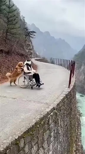 Ai video on Instagram: "‎日本推出一種革命性嘅技術，將人類每一步都轉化為電力：壓電磚。 ‎ ‎呢啲瓷磚吸收每個行人嘅腳步所產生嘅壓力同震動能量， ‎同埋將呢個機械力轉換成電能。 ‎ ‎嵌入瓷磚嘅壓電元件會稍微變形， ‎產生弱電流。 ‎ ‎每個步驟都會產生少量能量，但係總共有幾百萬個步驟 ‎產生足夠嘅電力去供電 LED 燈、數碼顯示器、感應器等等。 ‎ ‎喺東京澀谷站呢類繁忙地區， ‎每日大約240萬步有助於呢個系統。 ‎ ‎呢啲能量可以即刻儲存或者用， ‎減少對傳統能源嘅依賴，同埋 ‎支持可持續城市基礎設施嘅發展。 ‎ ‎每日行路 ‎正成為未來嘅可再生能源來源。 ⚡ ‎ ‎#日本 #壓電瓷磚 #壓電 #行走電力 #澀谷站 #可再生能源 #智慧城市 #科技 #創新 #環保 #邁向未來 #動力 #靈感 #EcoLifeCocoShitoro店"