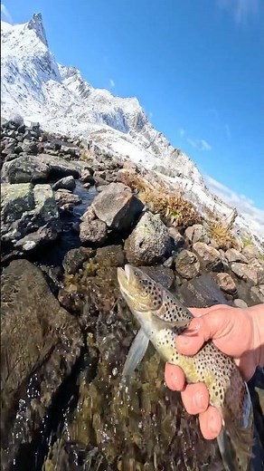 Dağların Zirvesinde Buzul Gölde Alabalığın Yolculuğu🐟 the journey of the trout at the mountain peak