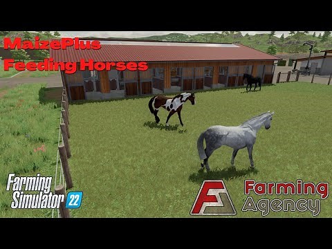 Feeding horses with MaizePlus - MaizePlus - FS22