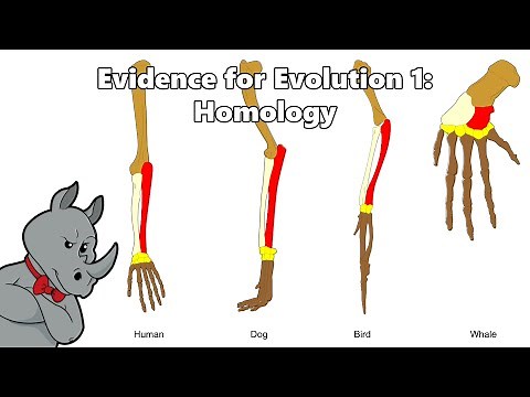 The Evidence for Evolution: Homology