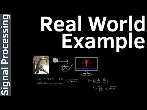 Real World Digital Filter Example - Signal Processing #18