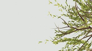 Download animated tree leaf background for free