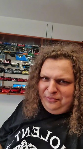 How Much Did This Model Car Collection Cost? The Real Price Revealed!