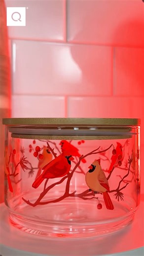 Cuter Kitchen Containers | QVC