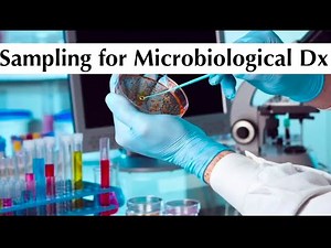 Microbiology 1st practical tuotorial "sampling for microbiological diagnosis" by ASM Minds