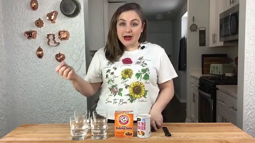 Baking Science: Baking Soda and Baking Powder I Baker Bettie
