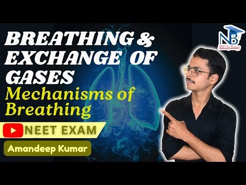 Mechanism of Breathing Explained | Inhalation & Exhalation | NEET Biology Class 11