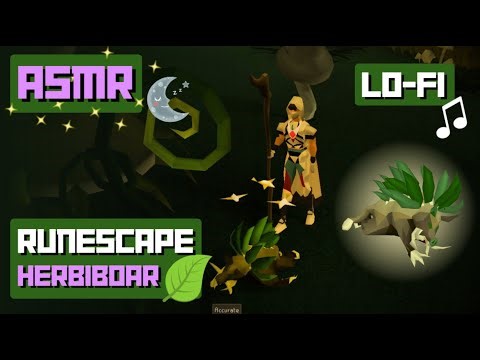 Relaxing OSRS ASMR 💤 Fossil Island Herbiboar 🌿 Lo-Fi + Soft-Spoken Commentary (Hunter Grind)