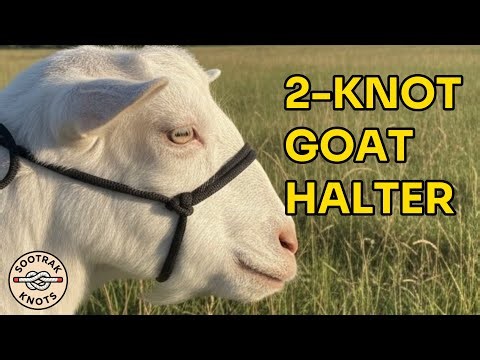 2-Knot Rope Halter Making | How to Tie a Rope Halter | How to Make a Rope Halter for Goat | 