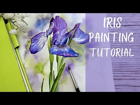 STEP BY STEP IRIS PAINTING - with just 5 colours