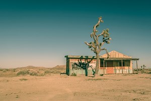 15 Best Things to Do in the Mojave Desert
