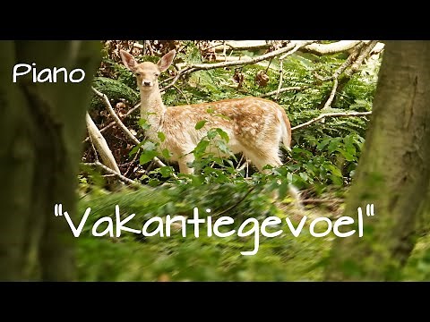 Ontspannende pianomuziek - "Vakantiegevoel Deel 1" 🎵