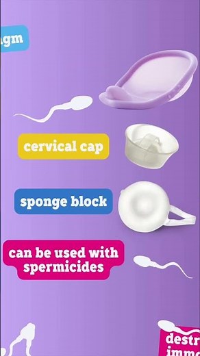 How do contraceptives work?