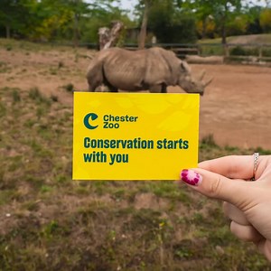 One zoo. Endless adventures. Every ticket to Chester Zoo opens up a world of wild wonder, and directly supports our vital conservation work across the globe. | Chester Zoo