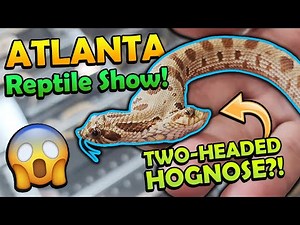 Attending the Southeast Reptile Expo in Atlanta!