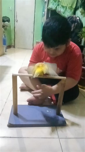 Michael Perez on Reels | Facebook