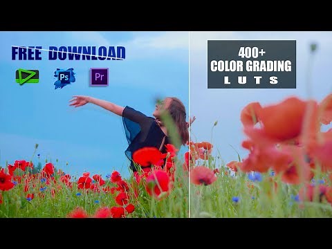 Get Cinematic Color in Seconds! 🎨 FREE 400 Edius Presets Download