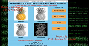 Fruit Classification Using CNN Python Project With Source Code | Fruit Detection Using CNN Final Year Project