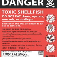 Washington Poison Center warns of the potential of shellfish poisoning this summer
