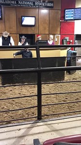 Home raised steers from Red Rock, Oklahoma, 60 days weaned with all shots 11 steers, weighing 591, brought $151.00 (per hundred weight) | Oklahoma National Stockyards Company