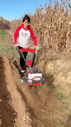 Small micro-tillage machine Small trenching machine Small gasoline micro-tillage machine hoe.Grass.