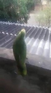 83K views · 545 reactions | When turbo is life  | Aeroflow Performance | Facebook