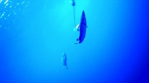 235K views · 39 reactions | Black Friday deals came early! For a...