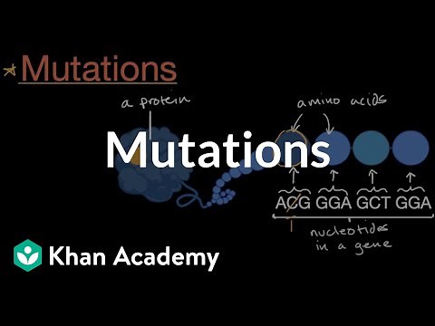 Mutations | Inheritance and variation | Middle school biology | Khan Academy
