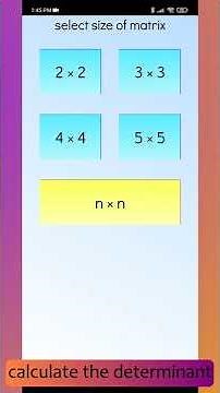Matrix Determinant Calculator