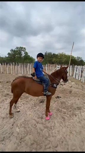 Juliara Amorim on Instagram: "Chama 🔥🐎❤️"