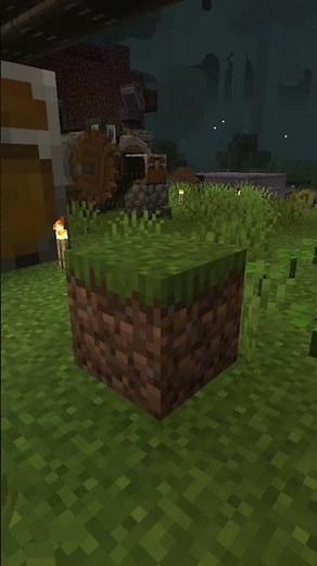 Minecraft Tutorial: Grass Block
