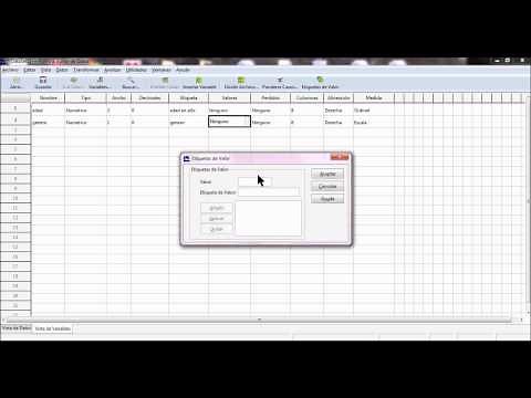 COMO UTILIZAR PSPP.wmv