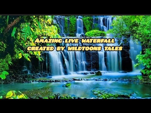 Amazing animated waterfall| live wallpaper| wildtoons tales 