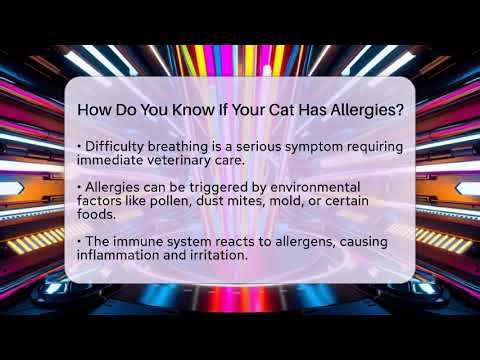 How Do You Know If Your Cat Has Allergies? - Happy Cat Handbook