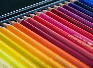 How to Use Watercolor Pencils Properly: 7 Useful Techniques