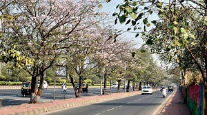 Warmer than usual Octobers? Meteorologists blame climate change and changing weather patterns