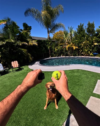 36K views · 188 reactions | Pool day with tennis ball enthusiast Rudder the golden + the new $199 #GoProHERO  Learn more about our 4K'ing tiny camera at GoPro.com/HERO. | GoPro | Facebook