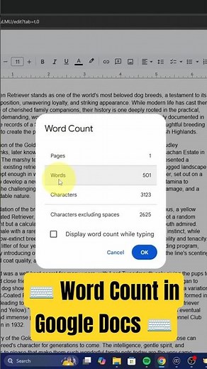 Check Word Count in Google Docs: Quick & Easy Tutorial